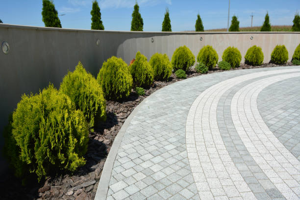 Best Best Driveway Pavers  in Little Rock, AR